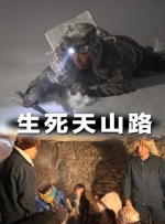 简繁英字幕